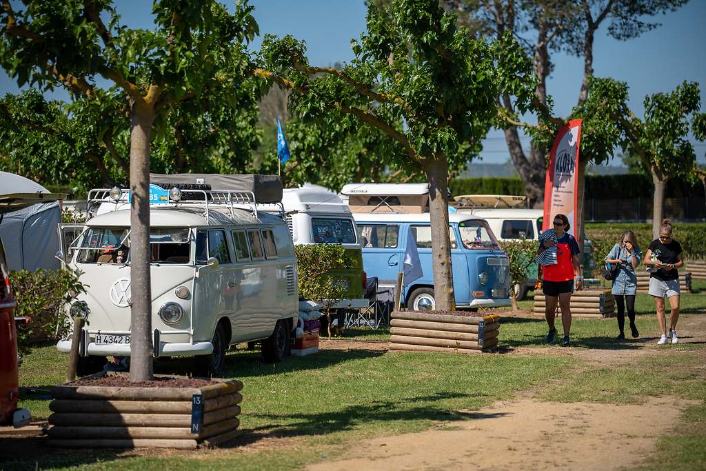 FurgoVolkswagen 2025: 75 años del VW Bulli