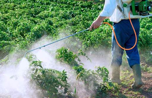 agroquimicos.jpg