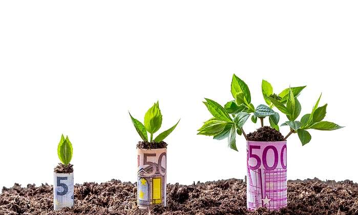 rentabilidad-euros-plantas.jpg