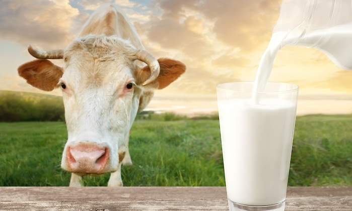 leche-vaca-cruda.jpg
