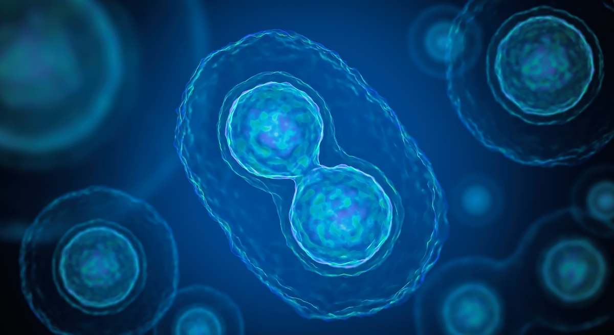 Las bacterias responsables de infecciones como la neumonía son las más resistentes a los antibióticos