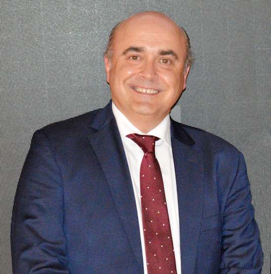 Félix Solís Ramos, director general Comercial y de Marketing del grupo bodeguero. 
