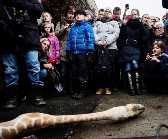 Ejecución en el zoo de Copenhague
