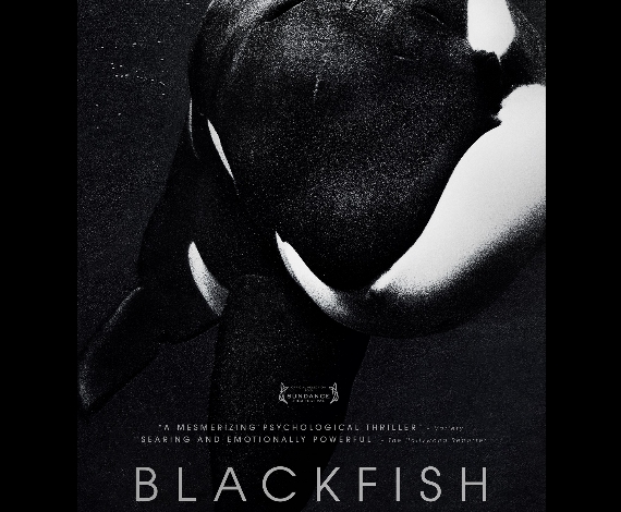 Blackfish