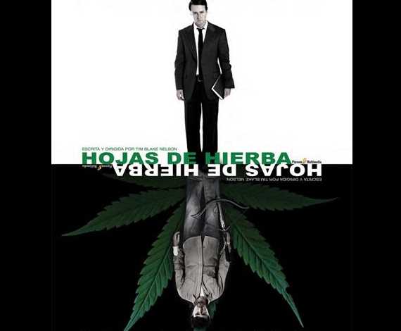 Hojas de hierba