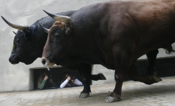 Toros-EFE.jpg