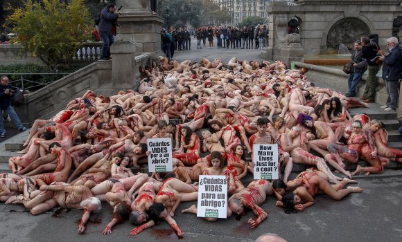 animalistas-barcelona.jpg