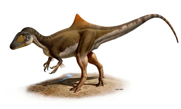 dinosaurio-pies-gallina-efe.jpg
