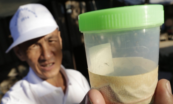 mosquito-zika-bote-efe.jpg