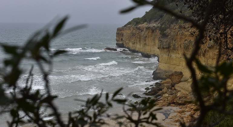 Una cala escondida entre la naturaleza que tiene un paisaje salvaje y de acantilados