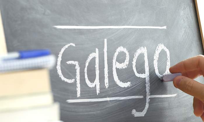 gallego770.jpg