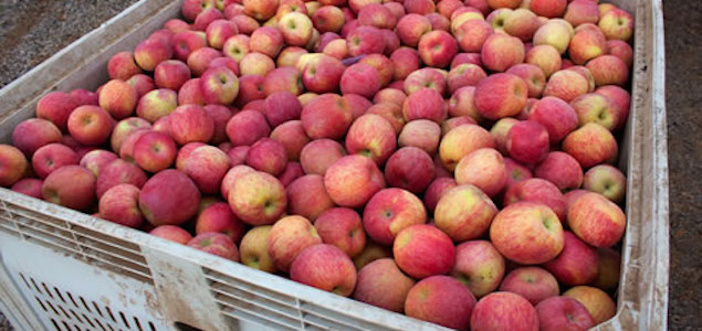 manzana.jpg