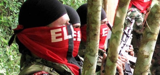 elnefe635.jpg