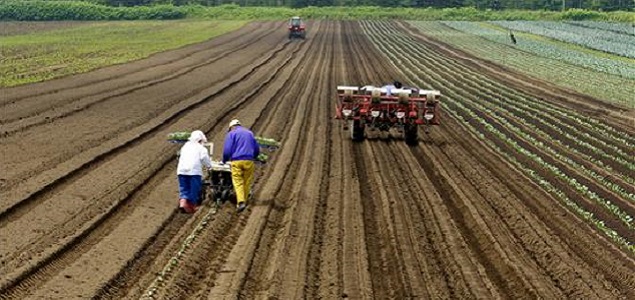 agricultores_635.jpg