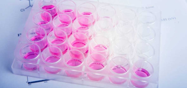 celulas madre-getty-investigacion-635.jpg