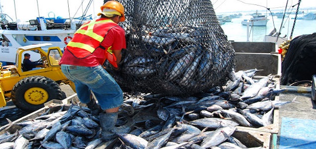 pesca635.jpg