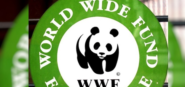 wwf635fundation.jpg