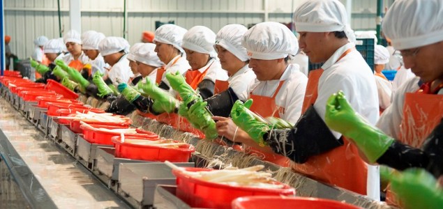 agroexportacionesparragosinterior.jpg