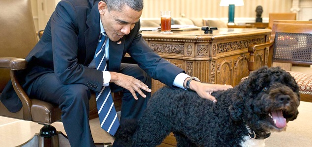 perro-obama.jpg