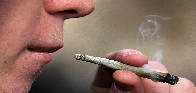 marihuana_635.jpg