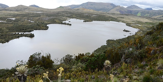 paramo guerrero