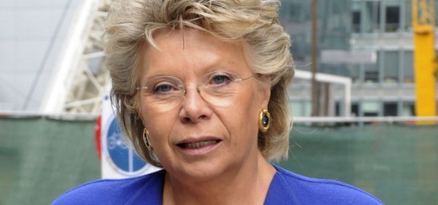 viviane-reding-eu.jpg