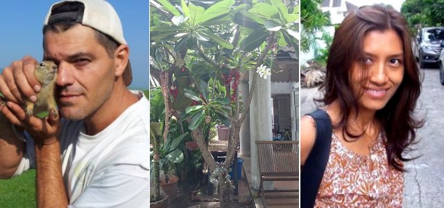 frank-arbol-yuyee.jpg