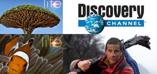 tv discovery channel shows tv discovery channel shows