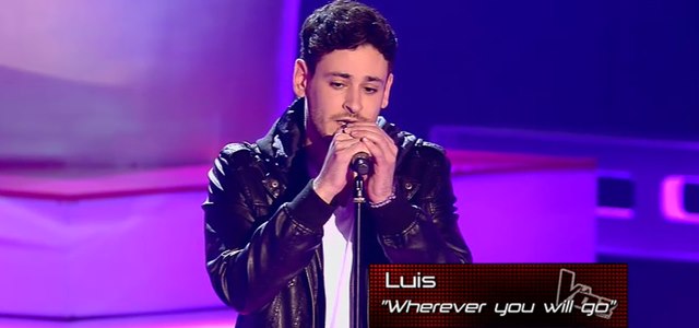 luis-voz.jpg