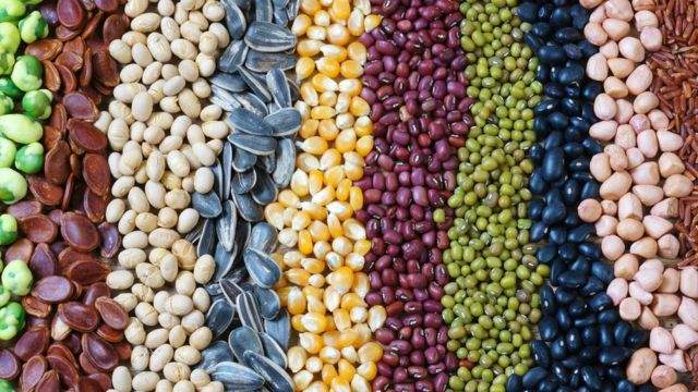 fao-alimentos.jpg