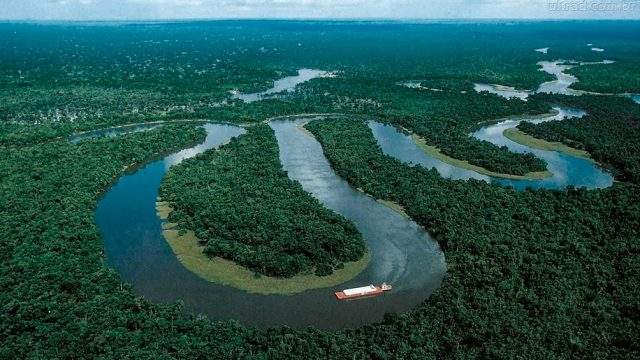 selva-amazonica.jpg