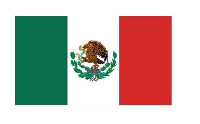 1916: Bandera de la Revolución