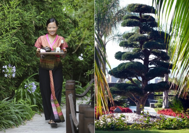 Una de las camareras y el viejo bonsai de los jardines