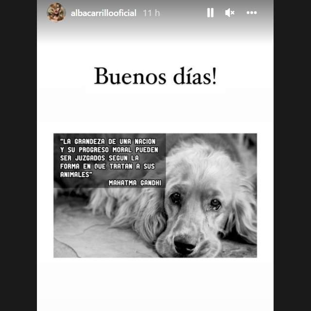 Alba Carrillo ataca sin piedad a Gloria Camila tras su rifirrafe taurino: Alba Carrillo ataca sin piedad a Gloria Camila tras su rifirrafe taurino: