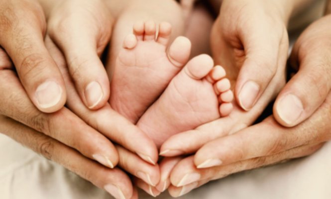 Maternidad y paternidad