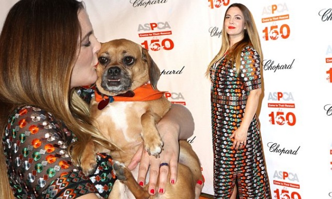 barrymore-amorperruno.jpg