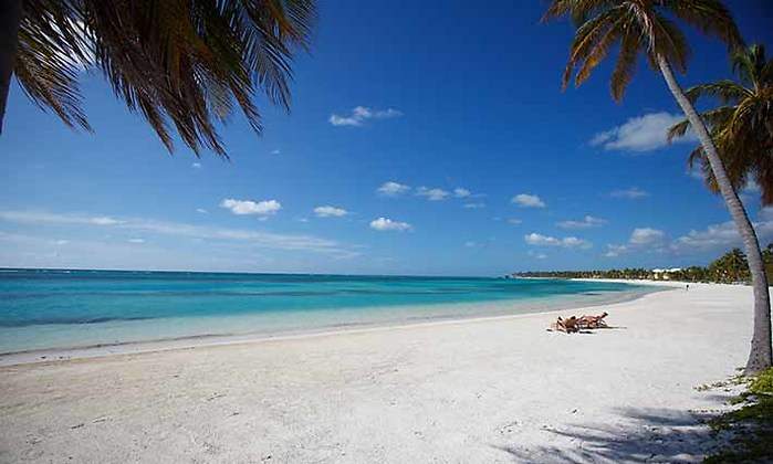 Punta