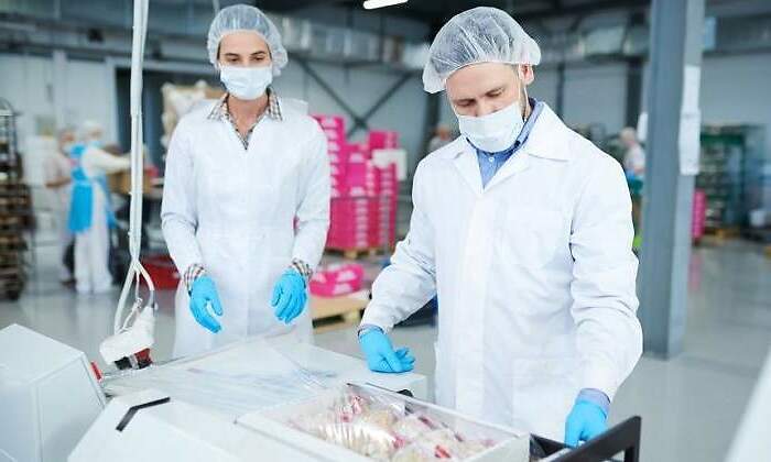 industria-alimentaria.jpg
