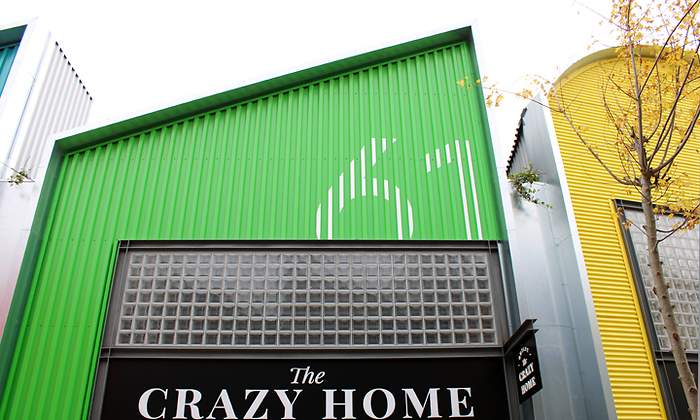 thecrazyhome