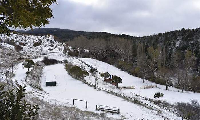 nieve