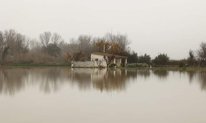 riadas ebro