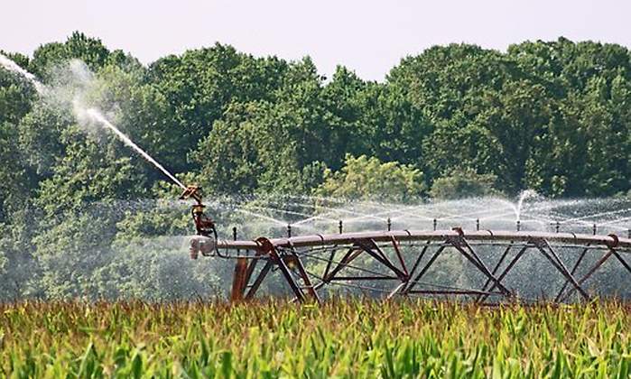 agricultura