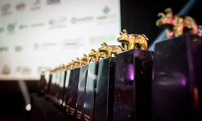 premiosporcino