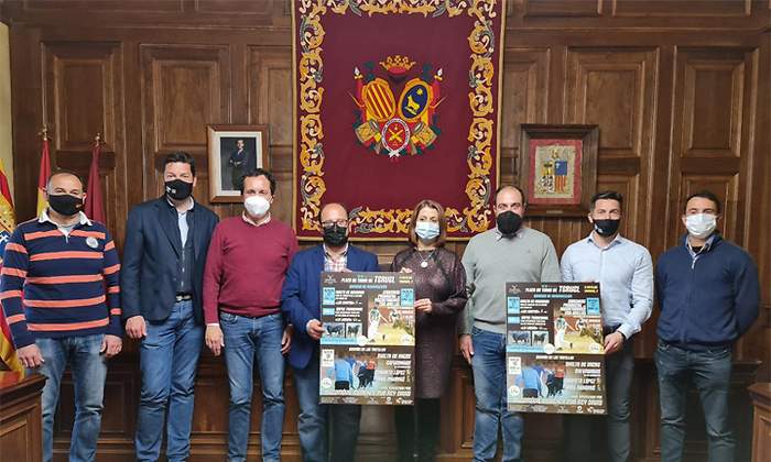 toros teruel