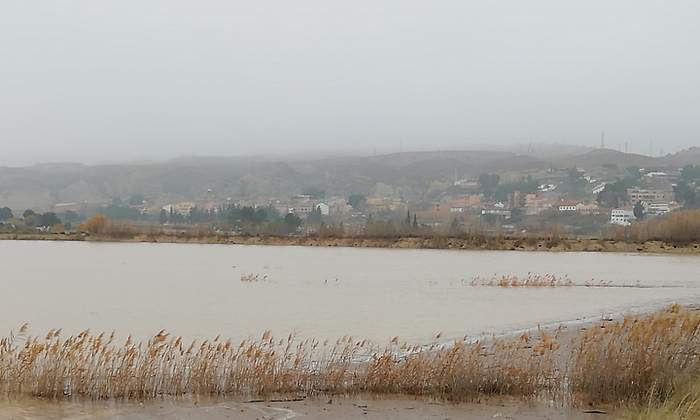 ayudas riada Ebro