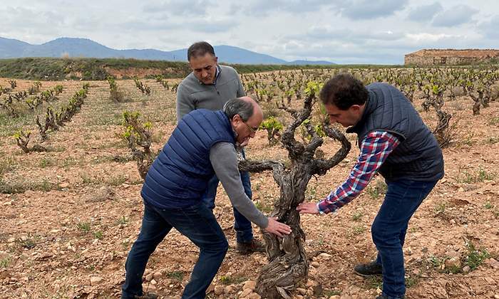 bodegasaragonesas