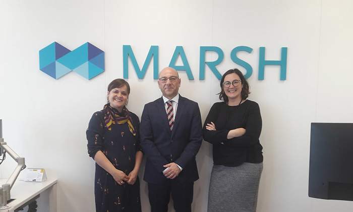 marsh