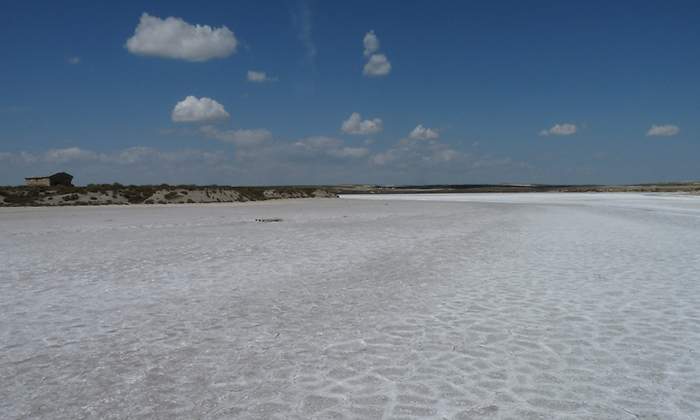 salinas