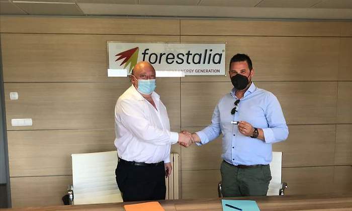 forestalia