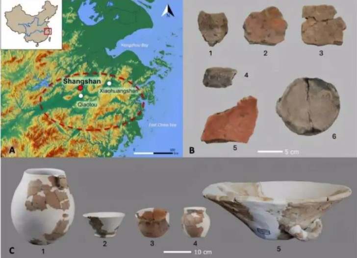 Cerveza china hace 10.000 años